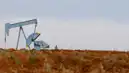 Brent Petrol 75,73 Dolardan İşlem Görüyor