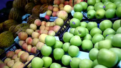 Elma ve Limon İhracatı Kayda Bağlandı