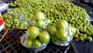 Silifke'de Kilosu 2 Bin TL'den Erik Hasadı