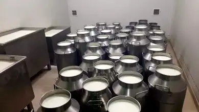 Türkiye Süt Üretiminde Avrupa'da 3. Sırada! 5,5 Milyar TL Destek